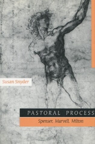 Cover of Pastoral Process