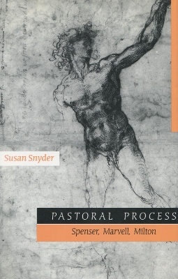 Book cover for Pastoral Process