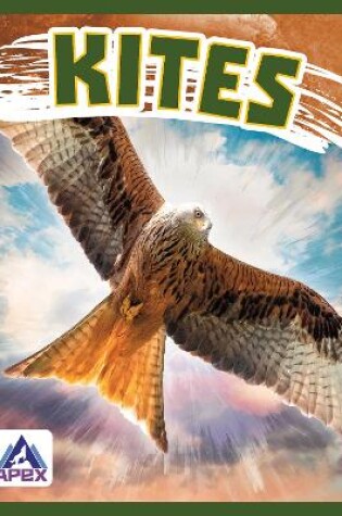 Cover of Birds of Prey: Kites