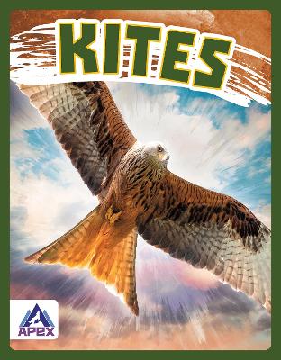 Book cover for Birds of Prey: Kites