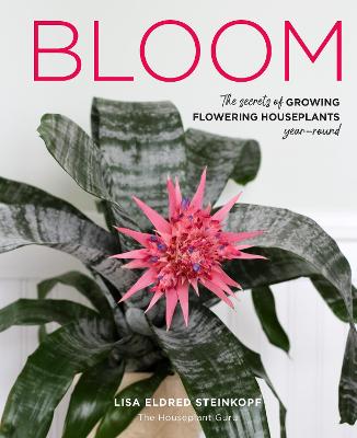 Book cover for Bloom