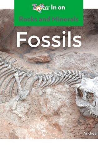 Cover of Fossils