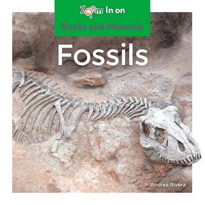 Cover of Fossils