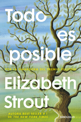 Cover of Todo es posible / Anything is Possible