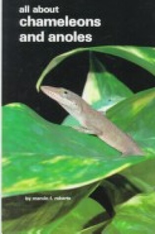 Cover of All About Chameleons and Anoles