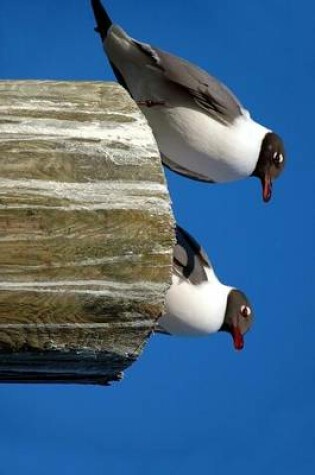 Cover of A Laughing Gull Pair Perched on a Post