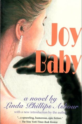 Cover of Joy Baby