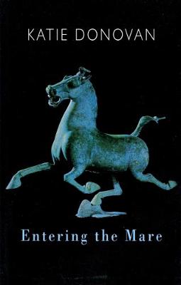 Book cover for Entering the Mare