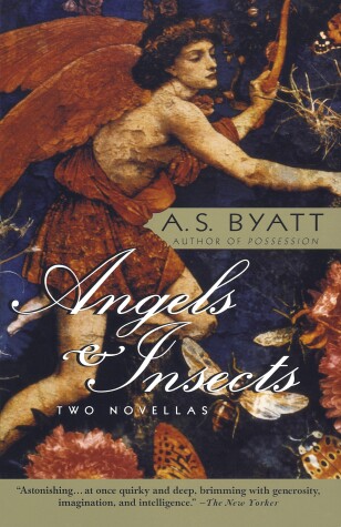 Book cover for Angels & Insects