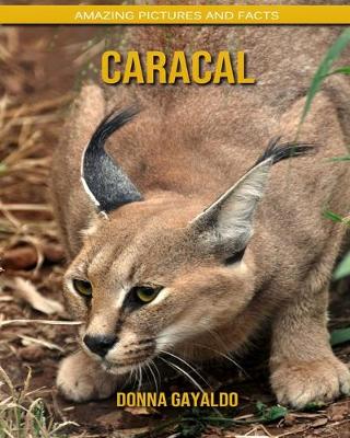 Book cover for Caracal