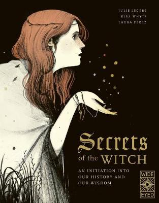 Book cover for Secrets of the Witch