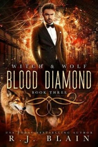 Cover of Blood Diamond