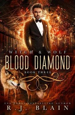 Book cover for Blood Diamond