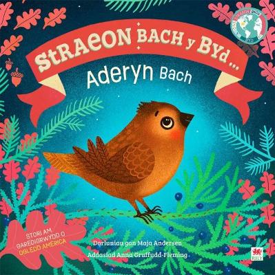 Book cover for Aderyn Bach, Yr / Little Bird, The (Cyfres Straeon Bach y Byd)
