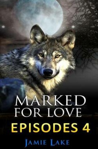 Cover of Marked for Love 4