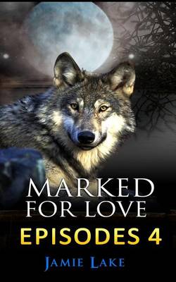 Book cover for Marked for Love 4