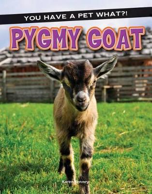 Book cover for Pygmy Goat