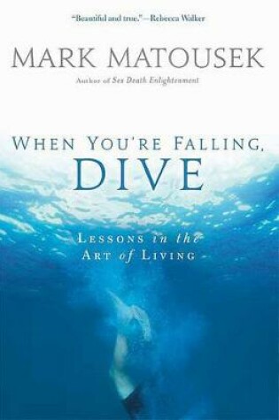 Cover of When You're Falling, Dive