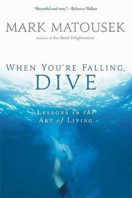 Book cover for When You're Falling, Dive
