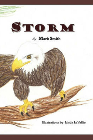 Cover of Storm