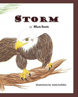 Book cover for Storm