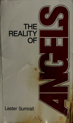 Book cover for The Reality of Angels