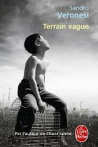 Cover of Terrain Vague