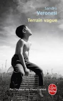 Book cover for Terrain Vague