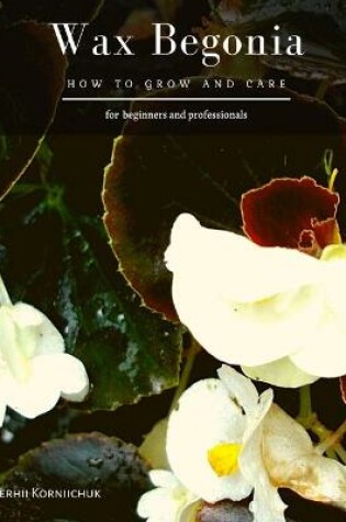 Cover of Wax Begonia