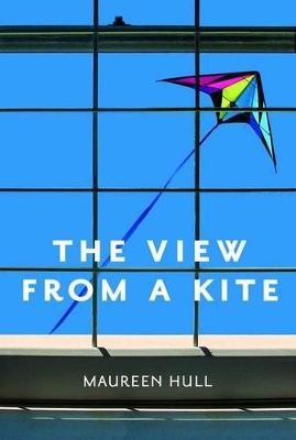 Book cover for View from a Kite