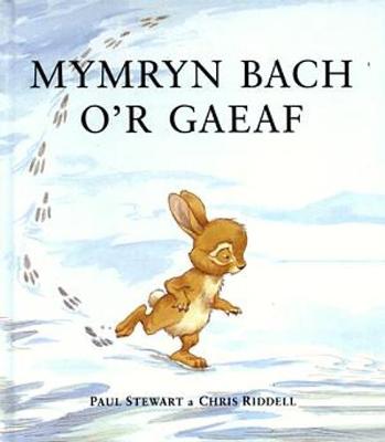 Book cover for Cyfres Storïau Cwningen a Draenog: Mymryn Bach o'r Gaeaf