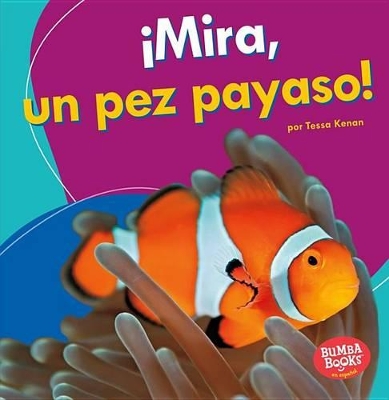Book cover for ¡Mira, un pez payaso! (Look, a Clown Fish!)