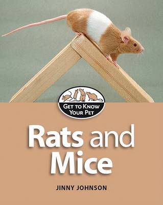 Book cover for Rats and Mice