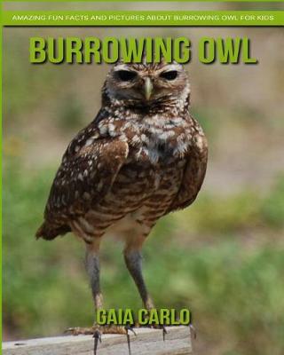 Book cover for Burrowing Owl