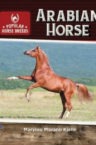Cover of Arabian Horse