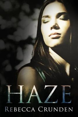 Book cover for Haze