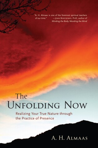Cover of The Unfolding Now