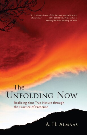 Book cover for The Unfolding Now