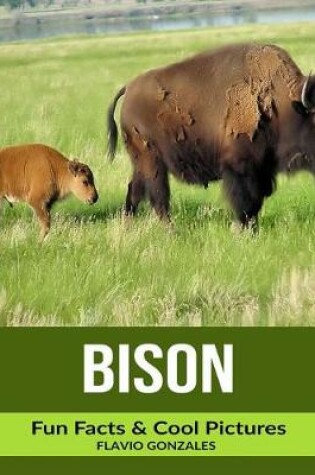 Cover of Bison