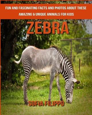 Book cover for Zebra