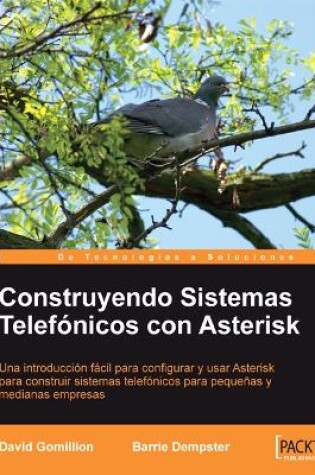 Cover of Construyendo Sistemas telefónicos con Asterisk