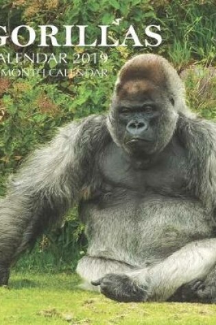 Cover of Gorillas Calendar 2019