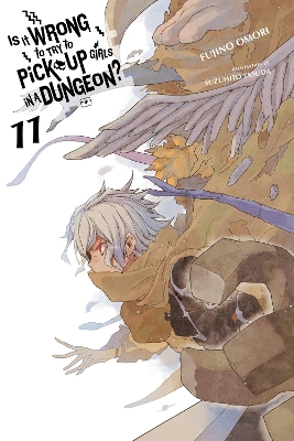 Book cover for Is It Wrong to Try to Pick Up Girls in a Dungeon?, Vol. 11 (light novel)