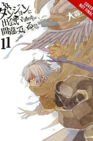 Cover of Is It Wrong to Try to Pick Up Girls in a Dungeon?, Vol. 11 (light novel)