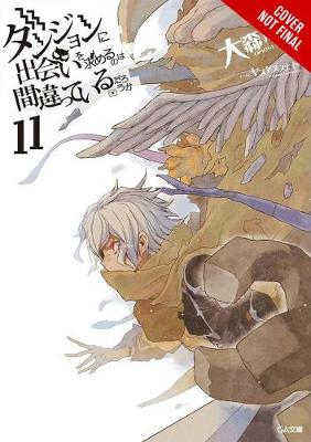 Book cover for Is It Wrong to Try to Pick Up Girls in a Dungeon?, Vol. 11 (light novel)
