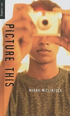 Book cover for Picture This