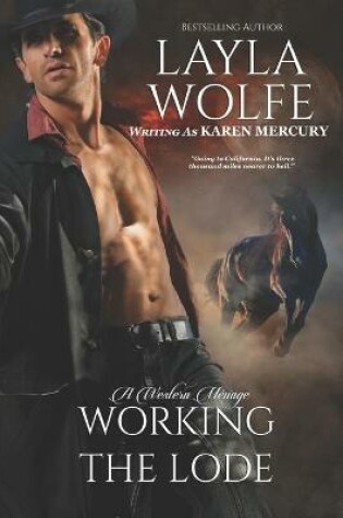 Cover of Working the Lode