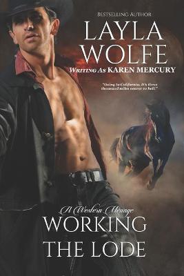 Book cover for Working the Lode