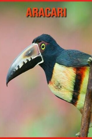 Cover of Aracari