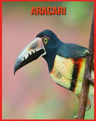 Book cover for Aracari